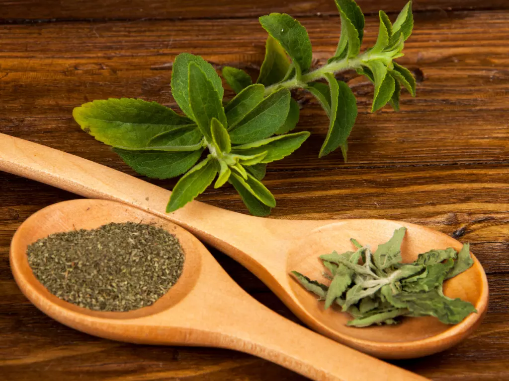 does stevia break a fast