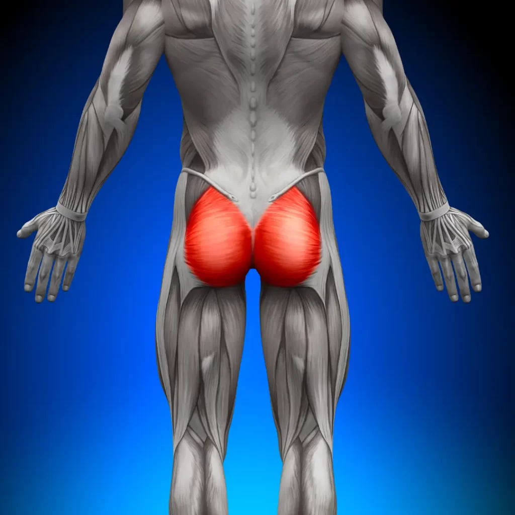Glute Isolation Exercises. All You Need To Know About How To Turn A Square Bum Into A Round One? 
